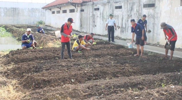 JELANG LEBARAN DENGAN KEGIATAN PERTANIAN