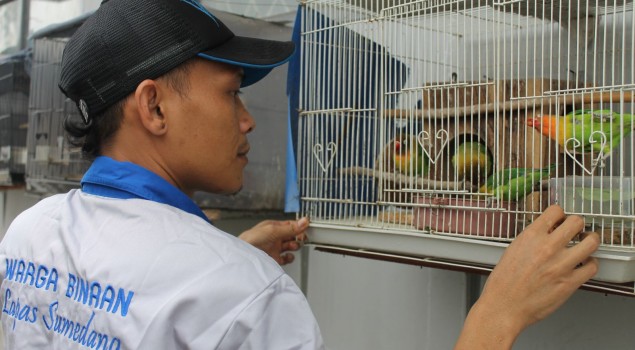 Senandung Burung Cinta Dari Lapas Sumedang