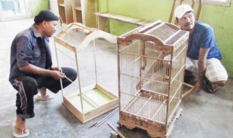 Lapas Merah Mata Harus Mandiri