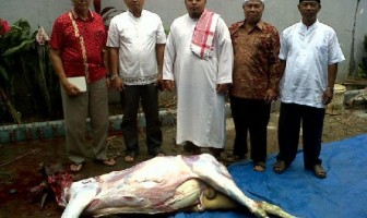 Mesjid Agung Kurbankan Satu Ekor Sapi Bagi Napi Rutan Teluk Kuantan