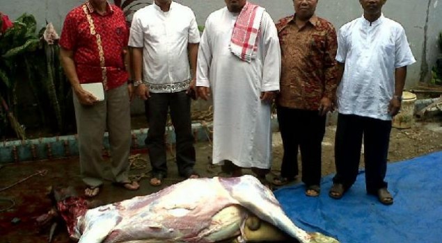 Mesjid Agung Kurbankan Satu Ekor Sapi Bagi Napi Rutan Teluk Kuantan