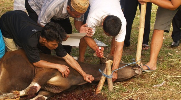 LAKSANAKAN KURBAN, BAPAS BOGOR JAGA HUBUNGAN HARMONIS DENGAN MASYARAKAT