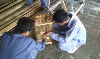 KONSUMEN INCAR SANGKAR BURUNG BUATAN WBP RUTAN PEKALONGAN