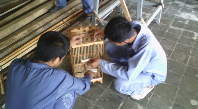 KONSUMEN INCAR SANGKAR BURUNG BUATAN WBP RUTAN PEKALONGAN