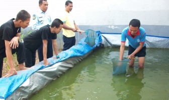 LAPAS ANAK KUTOARJO PANEN 50 KG LELE