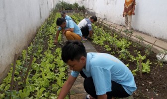 WBP LAPAS TASIKMALAYA IKUTI PELATIHAN PERTANIAN