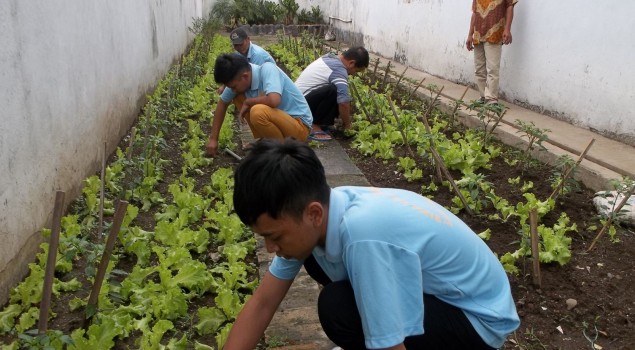 WBP LAPAS TASIKMALAYA IKUTI PELATIHAN PERTANIAN