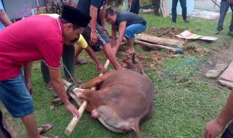 Tidak Hanya Masyarakat pada Umumnya, Napi Rutan Rengat Juga Berkurban