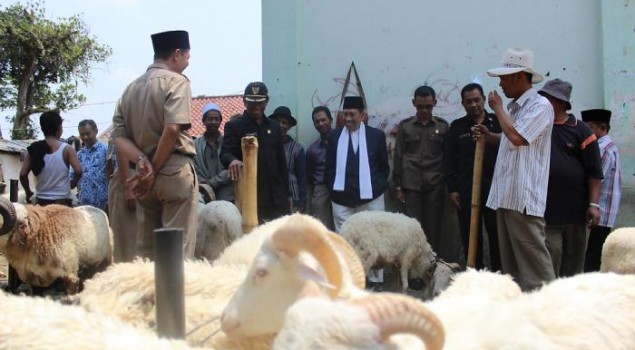 Wakil Bupati Cianjur Suranto Serahkan Sapi Kurban ke Lapas II B Cianjur