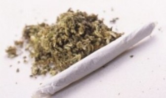 Seorang Ibu Tertangkap Mengantarkan Ganja ke Lapas