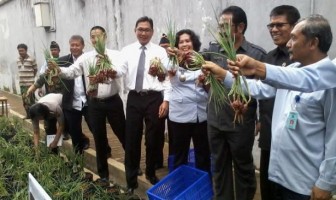 Warga Binaan LP Serang Diajari Bercocok Tanam