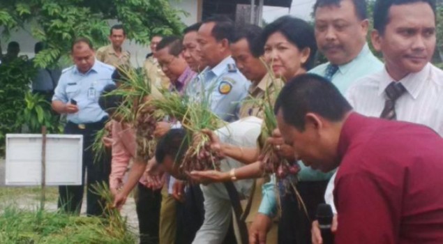 Lapas Palangkaraya Panen Bawang