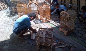 Shutlecock Dan Sangkar Burung Berkualitas Dari Lapas Tegal