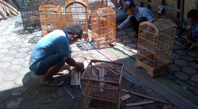 Shutlecock Dan Sangkar Burung Berkualitas Dari Lapas Tegal