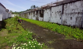 Kebun Kacang di Lapas Wanita Sungguminasa Siap Panen