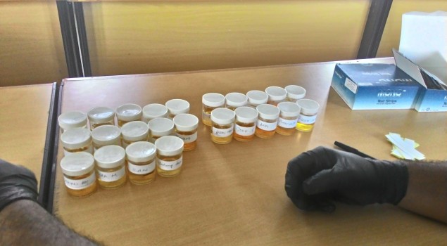 Peringati Hari Kesadaran Nasional, Petugas Lapas Narkotika Nusakambangan Test Urine