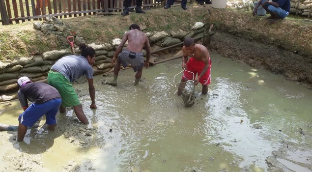 Panen Ikan Lele Oleh Warga Binaan Lapas Kelas II B Nabire