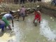 Panen Ikan Lele Oleh Warga Binaan Lapas Kelas II B Nabire