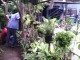Lapas Cipinang Kembangkan dan Pasarkan Tanaman Hias