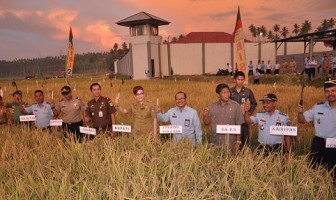 Bupati Minahasa Selatan Puji Panen Padi Cabrutan Amurang