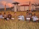 Bupati Minahasa Selatan Puji Panen Padi Cabrutan Amurang