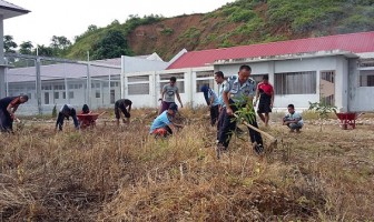 Lapas Blangpidie Giatkan Program Penghijauan