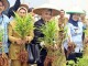 Panen Raya Jahe Merah Lapas Serang
