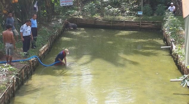 Lapas Lubuk Linggau Panen Ikan Lele