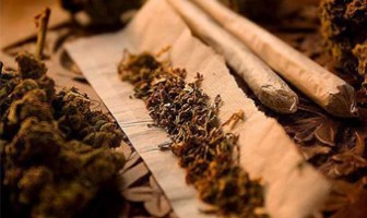 Petugas Gagalkan Penyelundupan 1 Ons Ganja ke Rutan Labuhan Deli