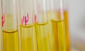 298 Napi Lapas Pekalongan Jalani Tes Urine