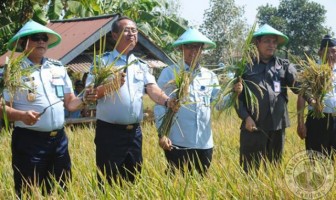 Hasil Panen Warga Binaan Lapas Menggembirakan