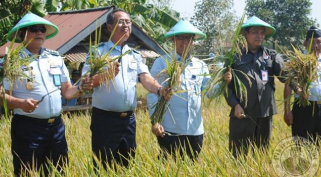 Hasil Panen Warga Binaan Lapas Menggembirakan