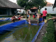 Andik Rutan Wonosari Panen 70 Kg Lele