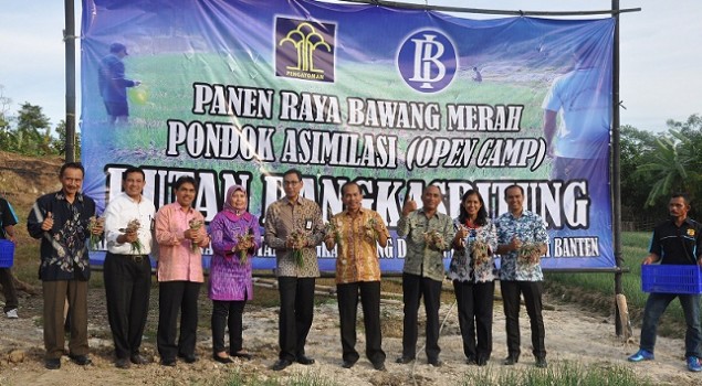 Pondok Asimilasi Rutan Rangkasbitung Panen Raya Bawang Merah