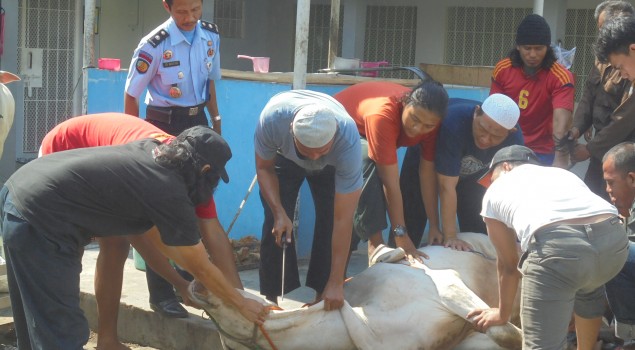 Kebersamaan Idul Adha Warga Binaan Dengan Petugas Lapas Batu Nusakambangan