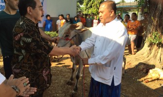 Daging Kurban di UPT PAS Banten Melimpah