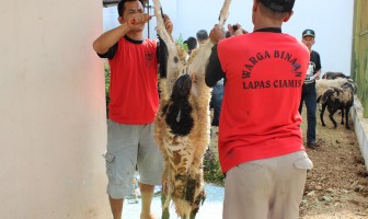 Lapas Ciamis Sembelih 13 Hewan Qurban