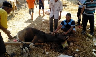 Lapas Narkotika Sungguminasa Berkurban 5 Sapi & 1 Kambing