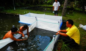 LPKA Karangasem Bekali ABH dengan Pelatihan Budidaya Ikan