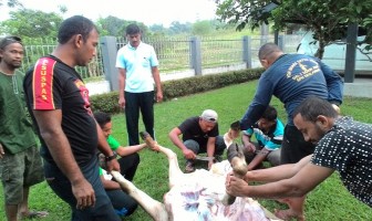 Rayakan Idul Adha, Rutan Jantho Sembelih Dua Ekor Sapi