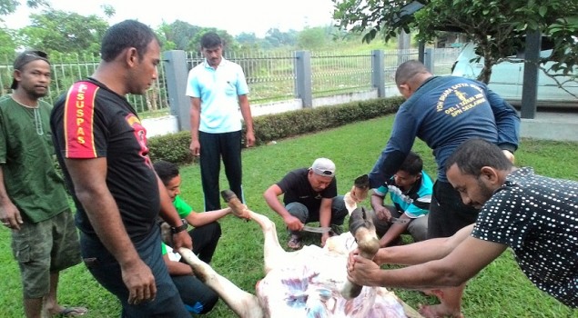 Rayakan Idul Adha, Rutan Jantho Sembelih Dua Ekor Sapi