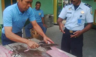 Cabrutan Banda Ikut Serta dalam Maluku Expo 2015