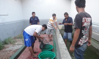 WBP Lapas Tuban Panen 40 Kg Ikan Lele
