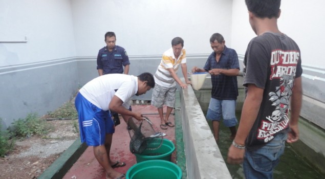WBP Lapas Tuban Panen 40 Kg Ikan Lele