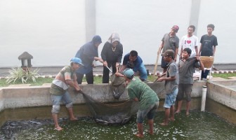 Pondok Asimilasi Rutan Serang Panen 2,5 Kuintal Lele