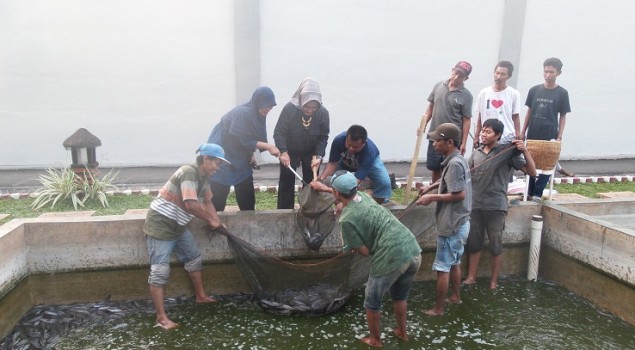 Pondok Asimilasi Rutan Serang Panen 2,5 Kuintal Lele