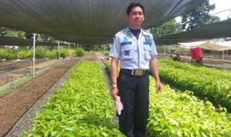 400 Bibit Pohon Siap Hijaukan Lapas Banjarbaru