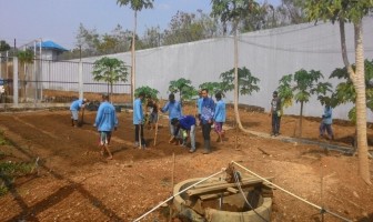 Intensitas Hujan Kembali, Lapas Narkotika Karang Intan Hijaukan Lapas