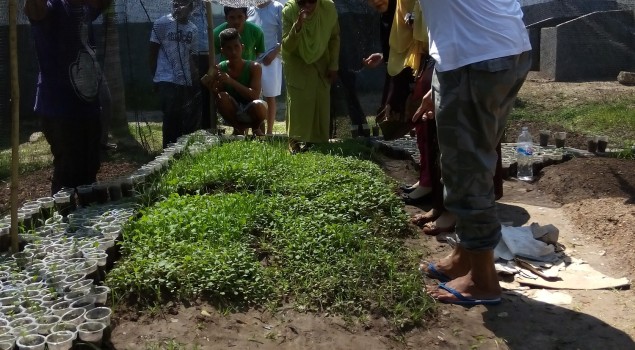 Lapas Gorontalo Tanggapi Positif Ajakan â€œNapi Berkebun 2015â€