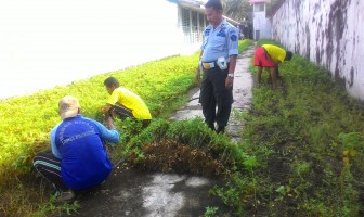 Lapas Pariaman Sukses Memanen 35 Kg Kacang Tanah